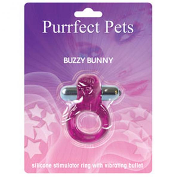 Purrrfect Pets (buzzy Bunny Purple) - Men's Toys - www.Coyha.com