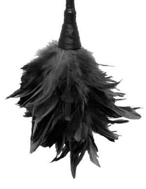 Fetish Fantasy Frisky Feather Duster Black - Bondage - www.Coyha.com